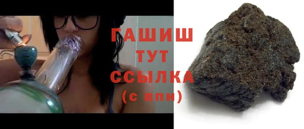 стаф Богданович