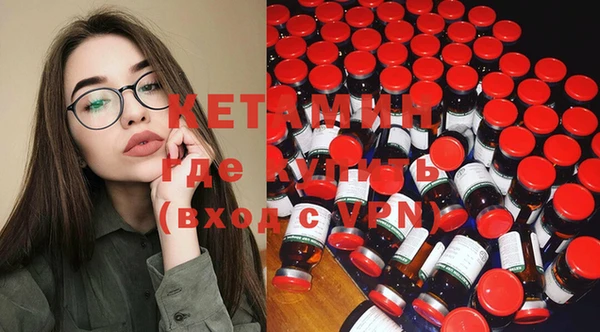 стаф Богданович
